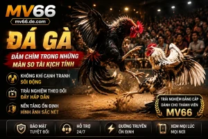 Trò chơi nổi bật trên IWIN Club