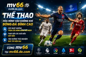 Casino live và slot trên trang IWIN