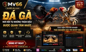 IwinClub Đá Gà giao diện trận live
